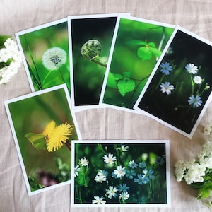 Postkarten Set | Naturfotografie | Postkarte | Fotopostkarte | Wanddekoration | Frühling | Geburtstag | Geschenkkarte | Blumen | Blätter