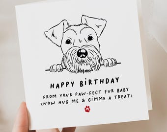May include: A square white greeting card featuring a black line drawing of a terrier dog peeking over a horizontal line. The text reads: HAPPY BIRTHDAY FROM YOUR PAW-FECT FUR BABY (NOW HUG ME & GIMME A TREAT) with a small red paw print.
