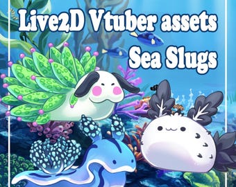 Sea slugs - Live 2D Vtuber asset