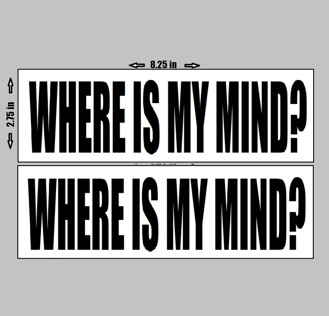 THE PIXIES Vinyl Sticker 2 Pack Where is My Mind Nirvana Etsy