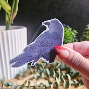 Crow Sticker: Matte Shimmer or Glossy Finish - Bird Lover Gift