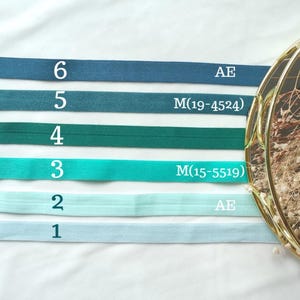 May include: Six different colored elastic bands, numbered 1 through 6, with measurements in inches. The bands are light blue, turquoise, teal, dark green, blue, and dark blue.