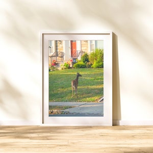 Midland Park Maplewood New Jersey Poster, City Art Print, Maplewood NJ, City Photography, Maplewood Gift, New Jersey, Maplewood Wall Art,Carte