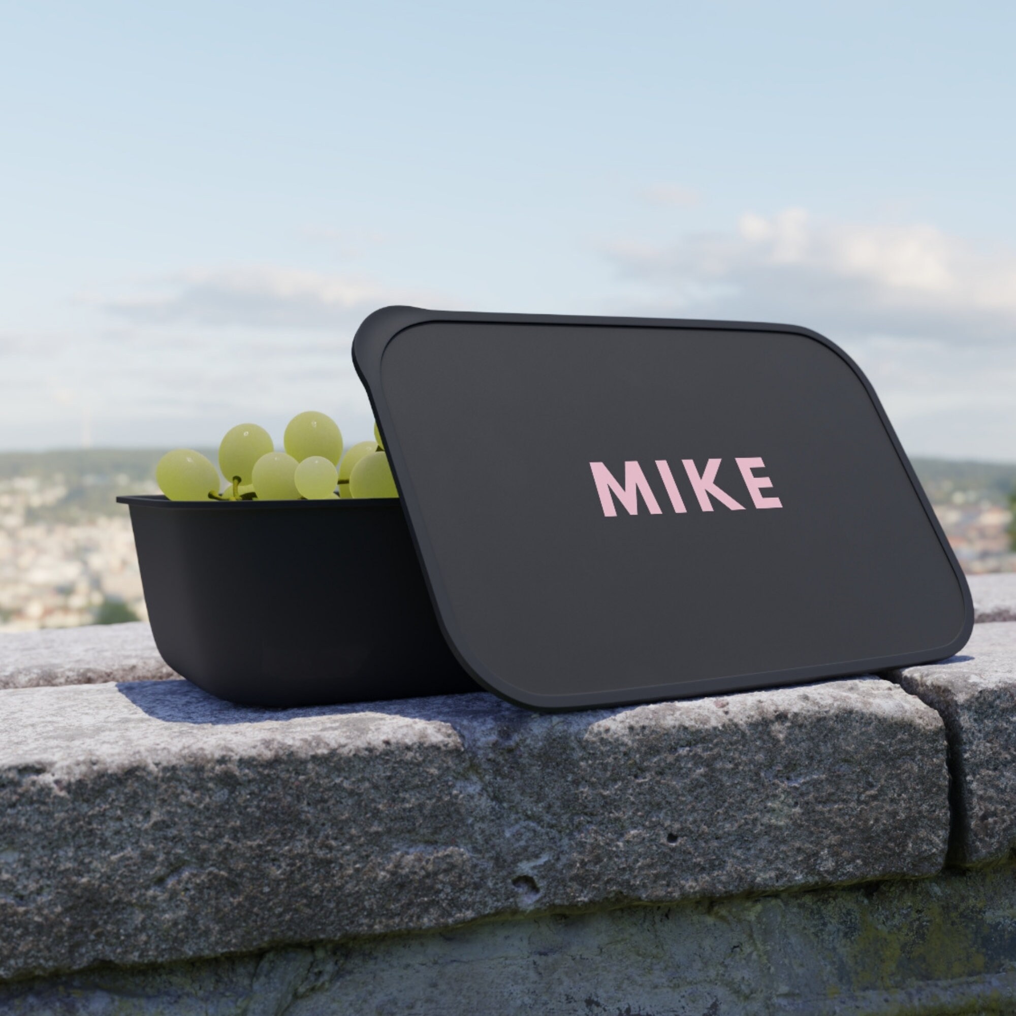 Personalized Bento Box Eco Friendly, Bioplastic Eco Lunch Box For ...