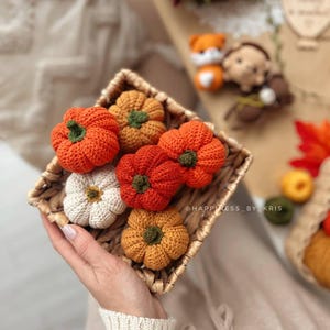 K&ouml;nnte beinhalten: Ein geflochtener Korb mit sechs geh&auml;kelten K&uuml;rbissen in Orange, Wei&szlig; und Gelb. Jeder K&uuml;rbis hat einen gr&uuml;nen Stiel. Der Korb wird in einer Hand gehalten. Der Hintergrund enth&auml;lt herbstliche Dekorationen.
