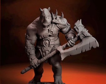 RAINO-The Rhino Warrior