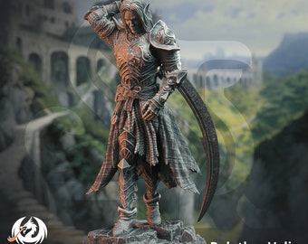 Relethyr Valin - Paladin of the Beacon
