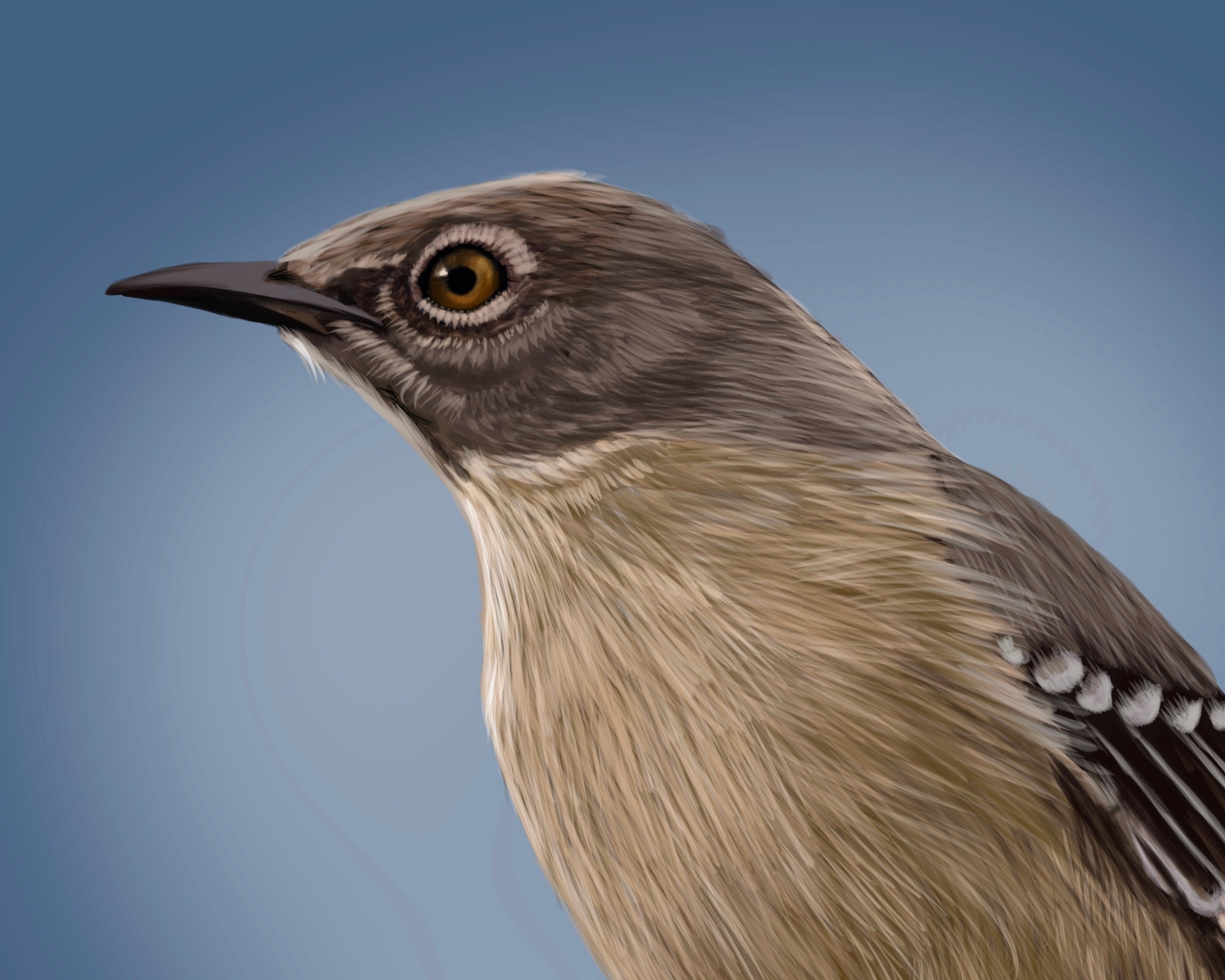 PRINTABLE Mockingbird Digital Art Download for Wall Art, Crafts, and ...