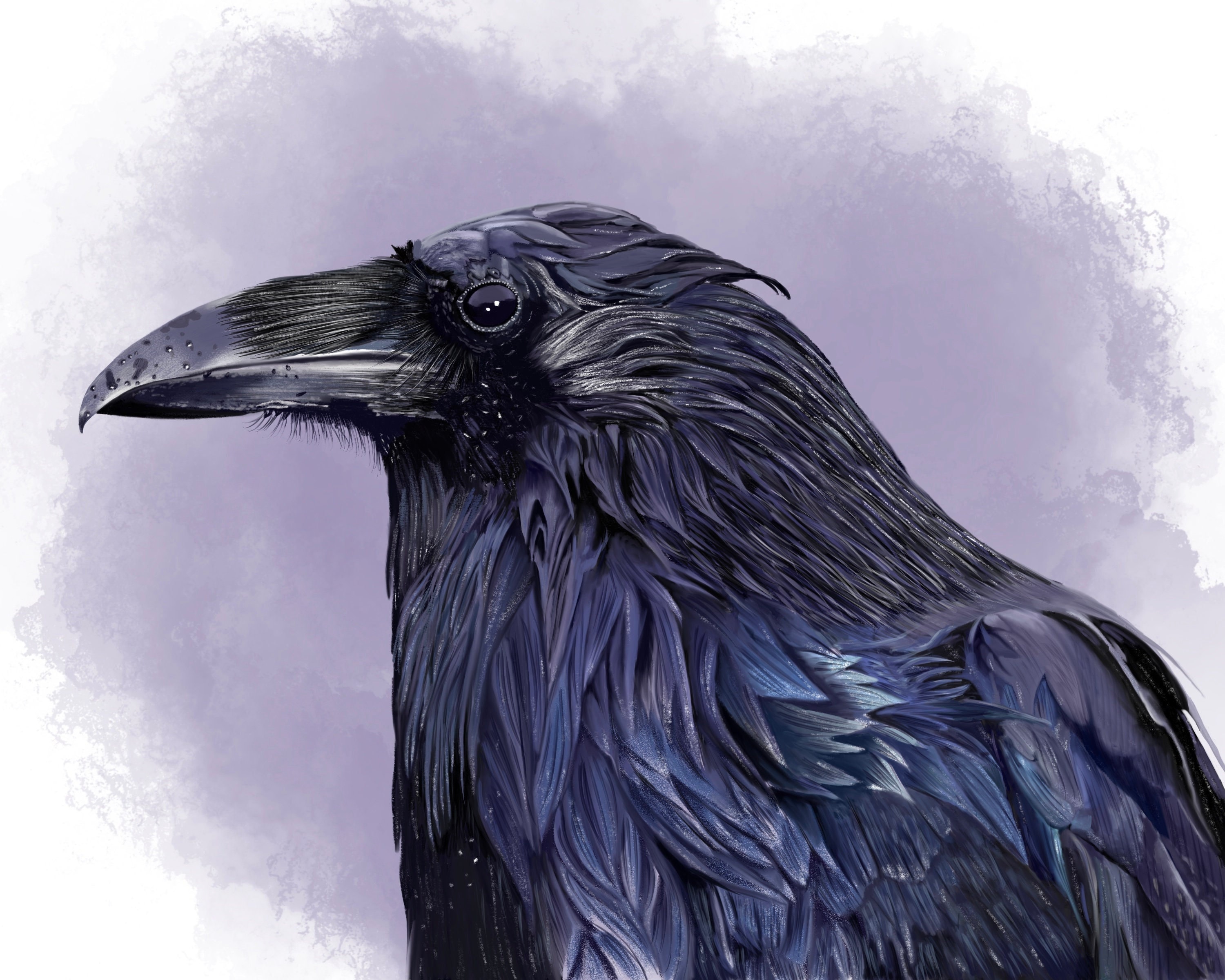 Raven - Digital Download - Original Artwork - Various Sizes - Etsy