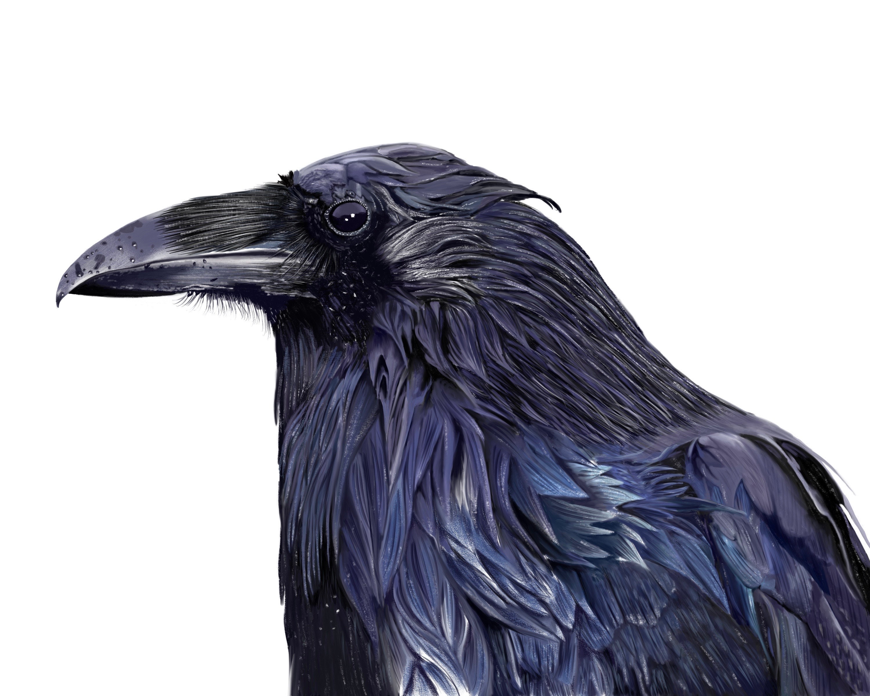 PRINTABLE Raven Instant Art Download for Home Decor Craft - Etsy