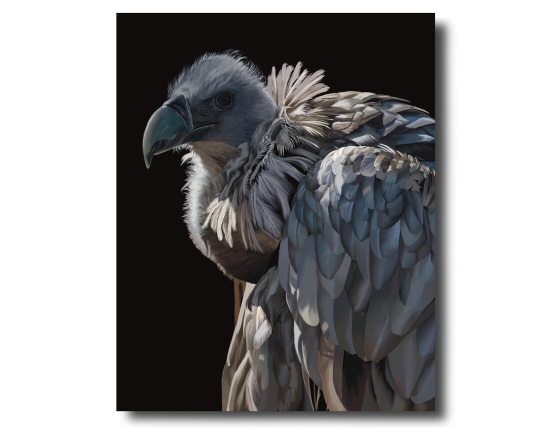 PRINTABLE Vulture Digital Art Download for Wall Art Craft - Etsy