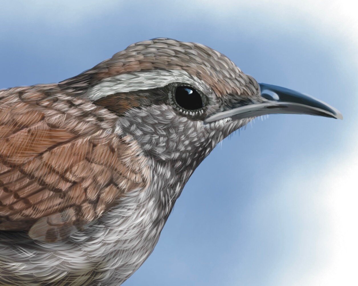 Set of 3 PRINTABLE Bird Art Downloads for Wall Art, Crafts, and More ...