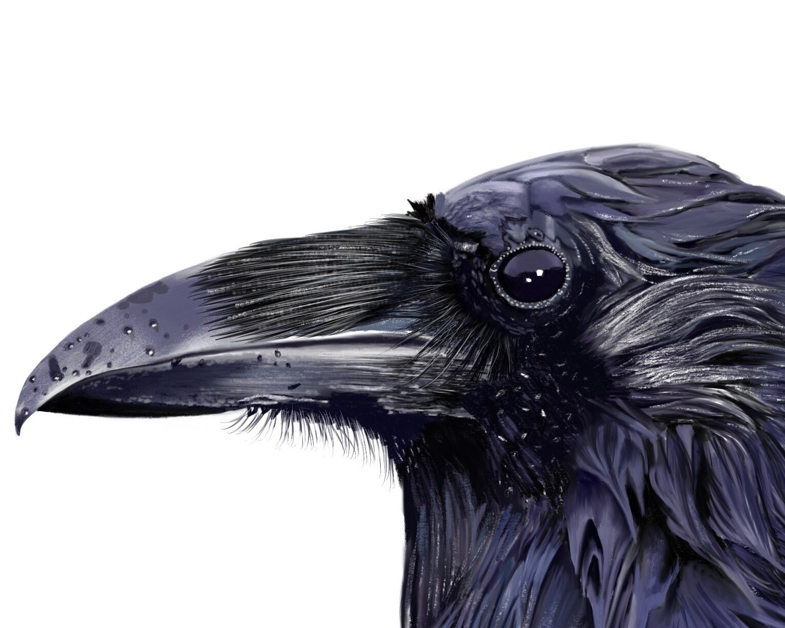 PRINTABLE Raven Instant Art Download for Home Decor Craft - Etsy