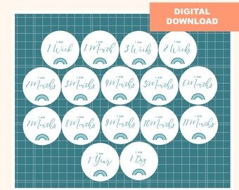 Rainbow Baby Milestone Discs: Laser Cut SVG, AI, PDF (Digital Download)