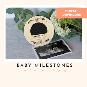 Floral Chalk monthly milestone disc digital file, svg file, baby milestone set, laser cutting, glowforge file, cutting file