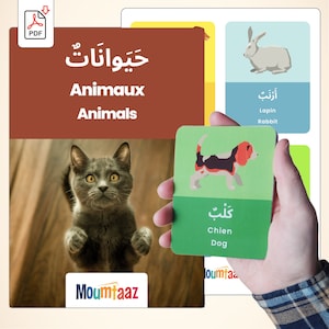 173 palabras ilustradas en árabe - 10 libros ilustrados en PDF - Aprende vocabulario árabe mientras te diviertes para los niños