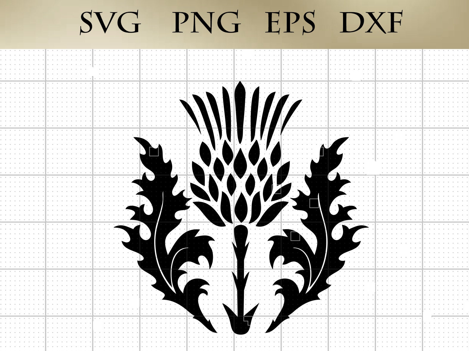 Scottish Thistle SVG png eps dxf Cuttable File Cricut Silhouette Vector Art  Drawing Digital Download, image size:1575x1181