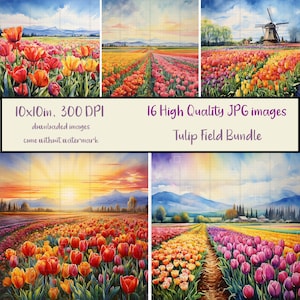 Campo de tulipanes, paquete de 16 imágenes JPG, Molino de viento de acuarela con flores, Puesta de sol, Soleado, Diario, Scrapbooking, Descarga digital