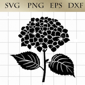 Peut inclure: Silhouette noire d'une fleur d'hortensia avec deux feuilles. La fleur est en pleine floraison et a de nombreuses petites pétales.