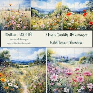 May include: A digital illustration of a wildflower meadow with a path leading through it. The meadow is filled with pink, purple, white, and yellow wildflowers. The background shows a blue sky with white clouds and a distant mountain range.