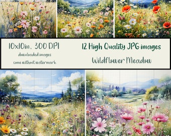 May include: A digital illustration of a wildflower meadow with a path leading through it. The meadow is filled with pink, purple, white, and yellow wildflowers. The background shows a blue sky with white clouds and a distant mountain range.