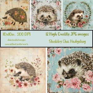 Bundle d'art Shabby Chic hérisson de 12 images JPG, hérisson de Style vintage avec fleurs, sublimation, scrapbooking imprimable, téléchargement numérique