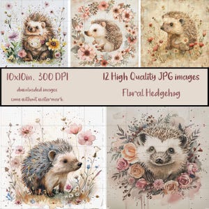 Ensemble d'art floral hérisson de 12 images JPG, aquarelle hérisson avec fleurs, sublimation, carte imprimable, scrapbooking, téléchargement numérique