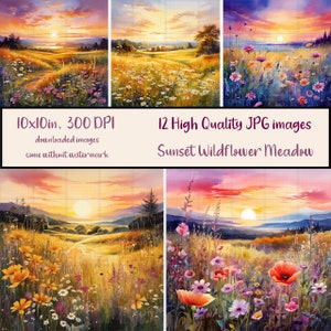 Puede incluir: Un collage digital de 12 imágenes de alta calidad que muestran una puesta de sol sobre un campo de flores silvestres. Las imágenes miden 25,4 cm por 25,4 cm y tienen una resolución de 300 DPI. El texto "Sunset Wildflower Meadow" está incluido en la imagen.