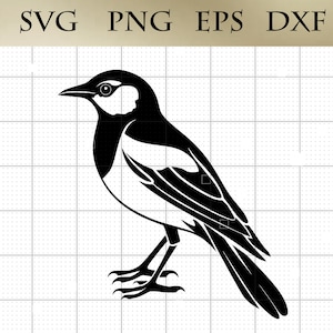 Pie pie SVG png eps dxf Pie oiseau vecteur découper fichier Cricut Silhouette Art dessin téléchargement numérique
