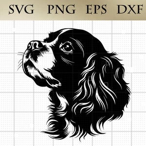 Silueta de perro Cavalier King Charles Spaniel, vector SVG, PNG, EPS, DXF, clipart, archivo de corte Cricut, archivo digital