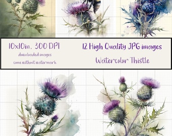 Watercolor Thistle Bundle of 12 JPG Images, Scottish Thistle Art, Illustration, Sublimation, Junk Journaling, Scrapbooking, Digital Download