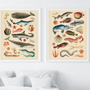 Vintage Sea Creature Prints Set of 2 – Antique Marine Biology Illustrations, Nautical Wall Art, Sea Life Posters, Ocean Animal Decor