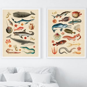 Vintage Sea Creature Illustrations, Satin or Matte Antique Marine Biology Prints, Vintage Sea Life Biology Posters, Nautical Art - 7 Sizes