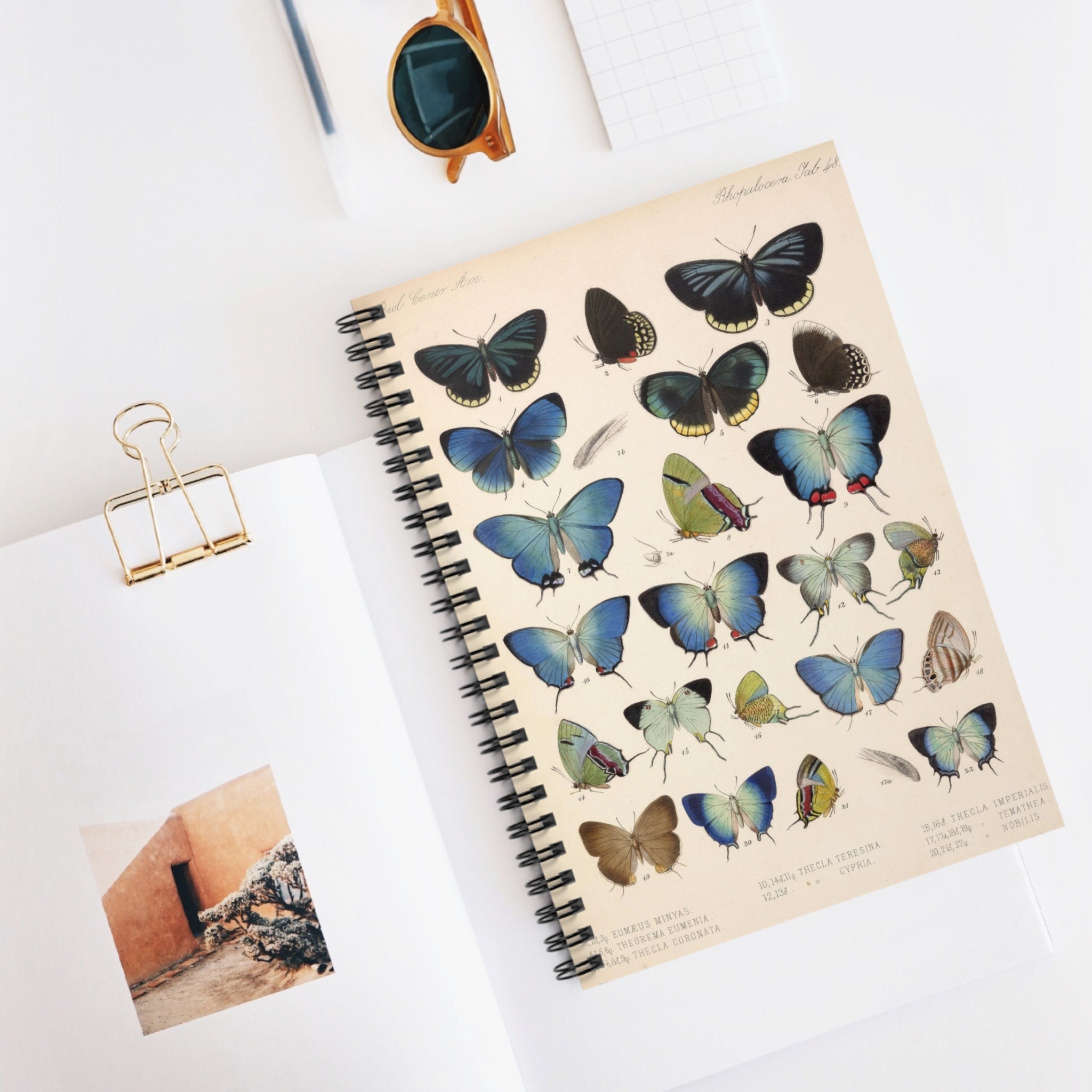 【アウトレット☆送料無料】 Vintage Butterfly Blue Illustration Core Cottage Journal, アニメ/ゲーム