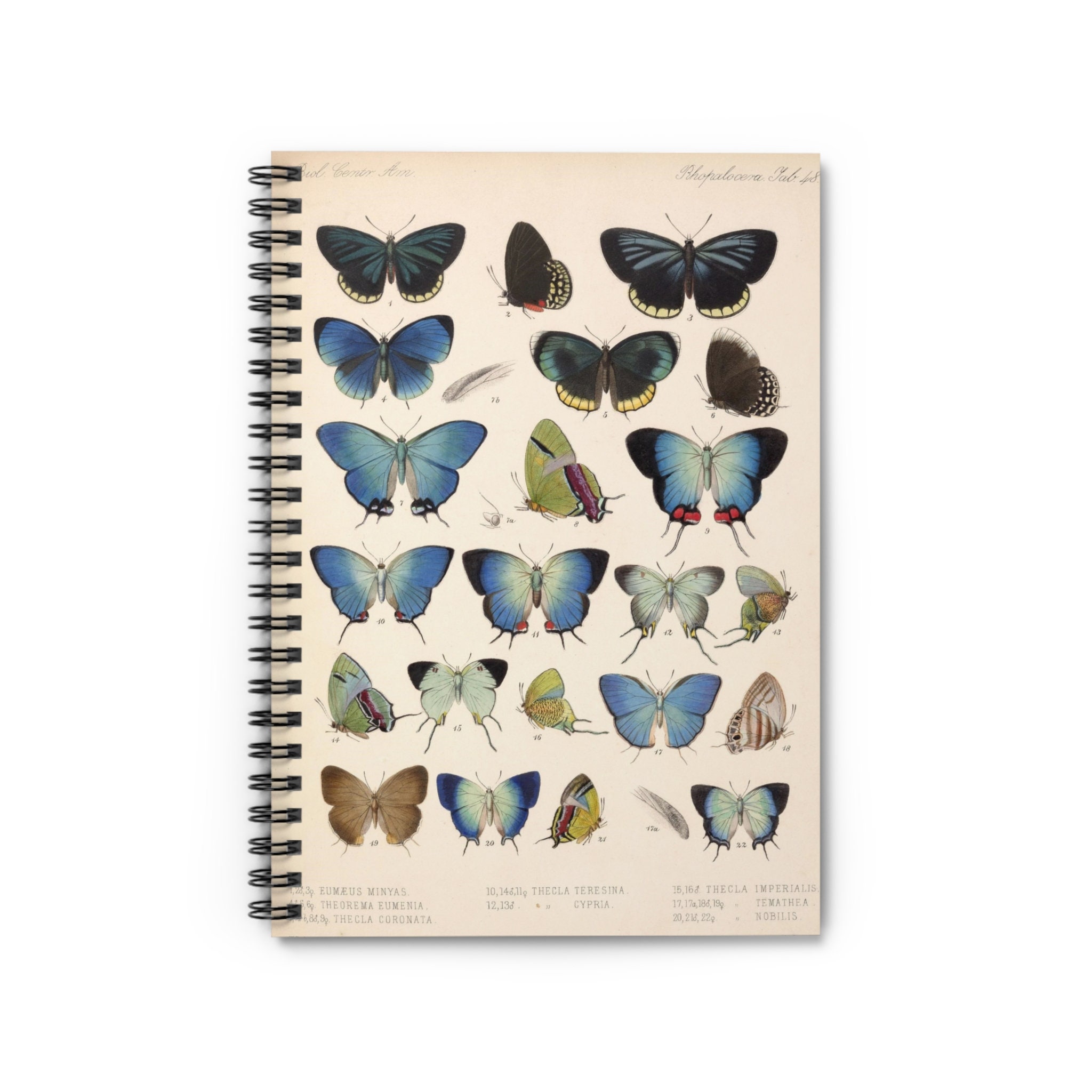 専用のリング Vintage Butterfly Illustration Journal: Cottagecore Notebook - Etsy