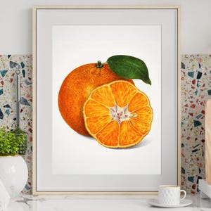Vintage Tangerine Fruit Kitchen Wall Art, Orange Watercolor Cross Section Fruit Print, Colorful Kitchen Art, Digital Print