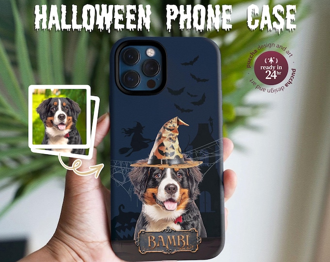 • Pet Accessories