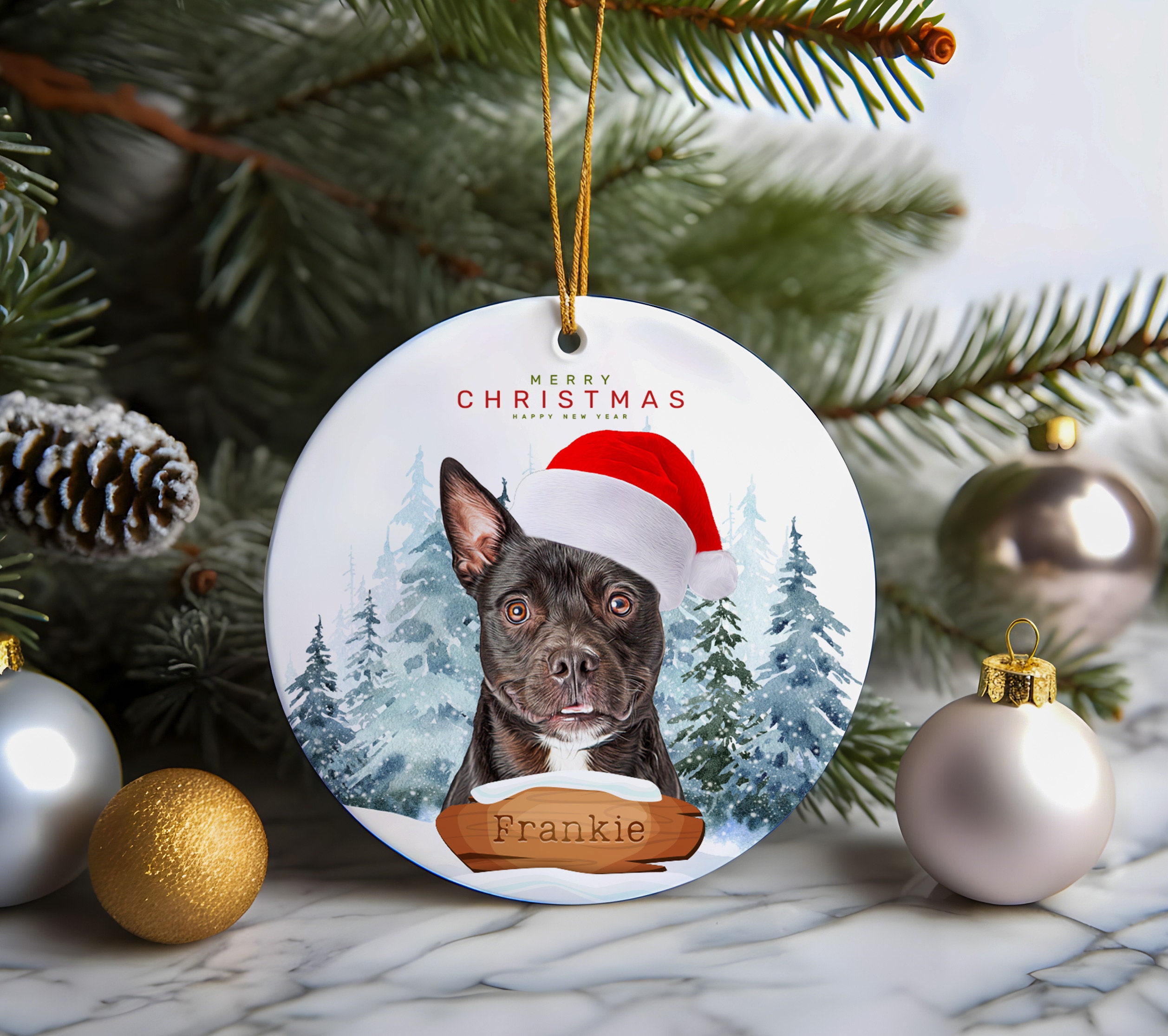 Custom Christmas Ornament From Dog Cat Photo With Personalized Name ...