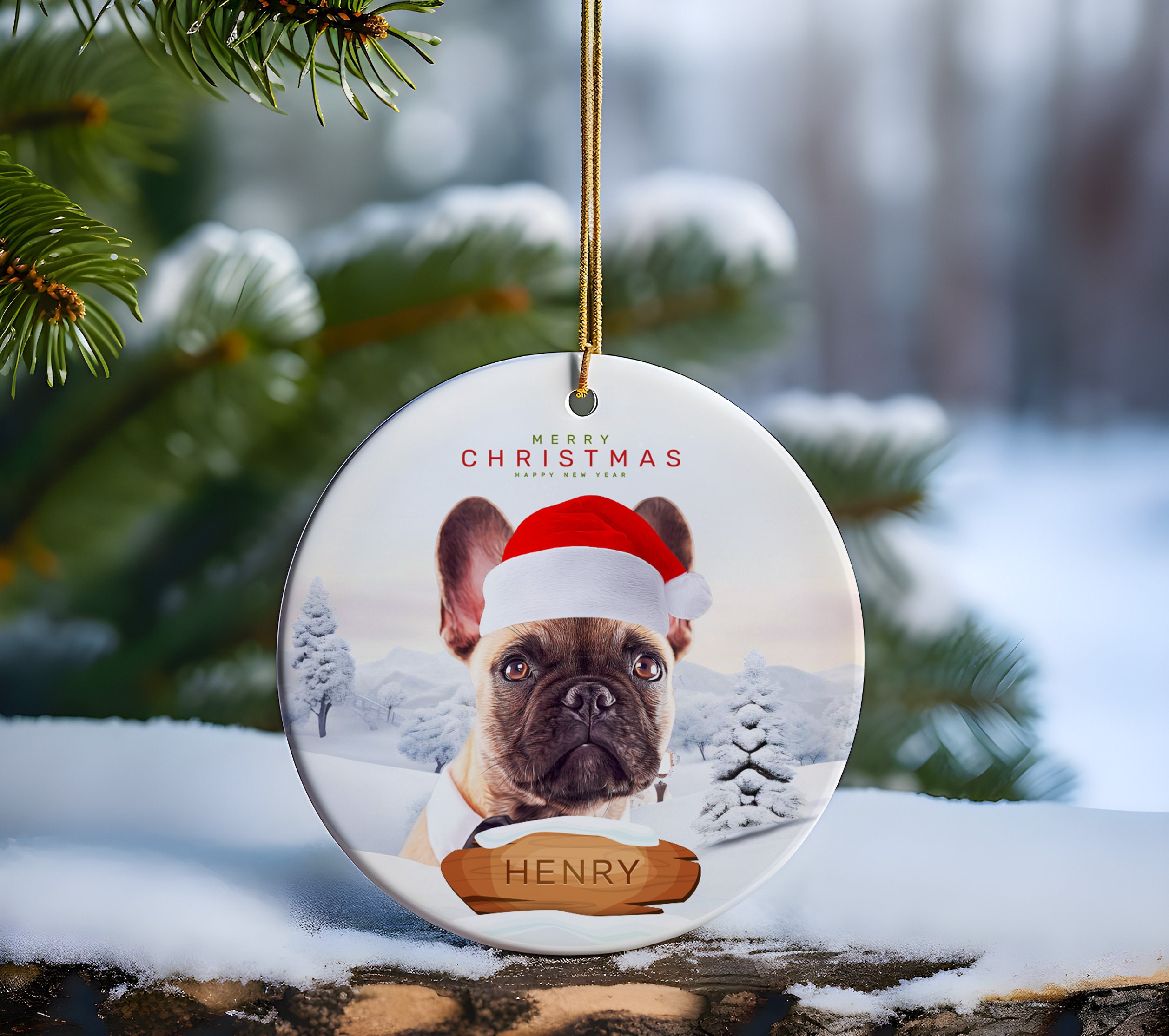 Custom Christmas Ornament From Dog Cat Photo With Personalized Name ...
