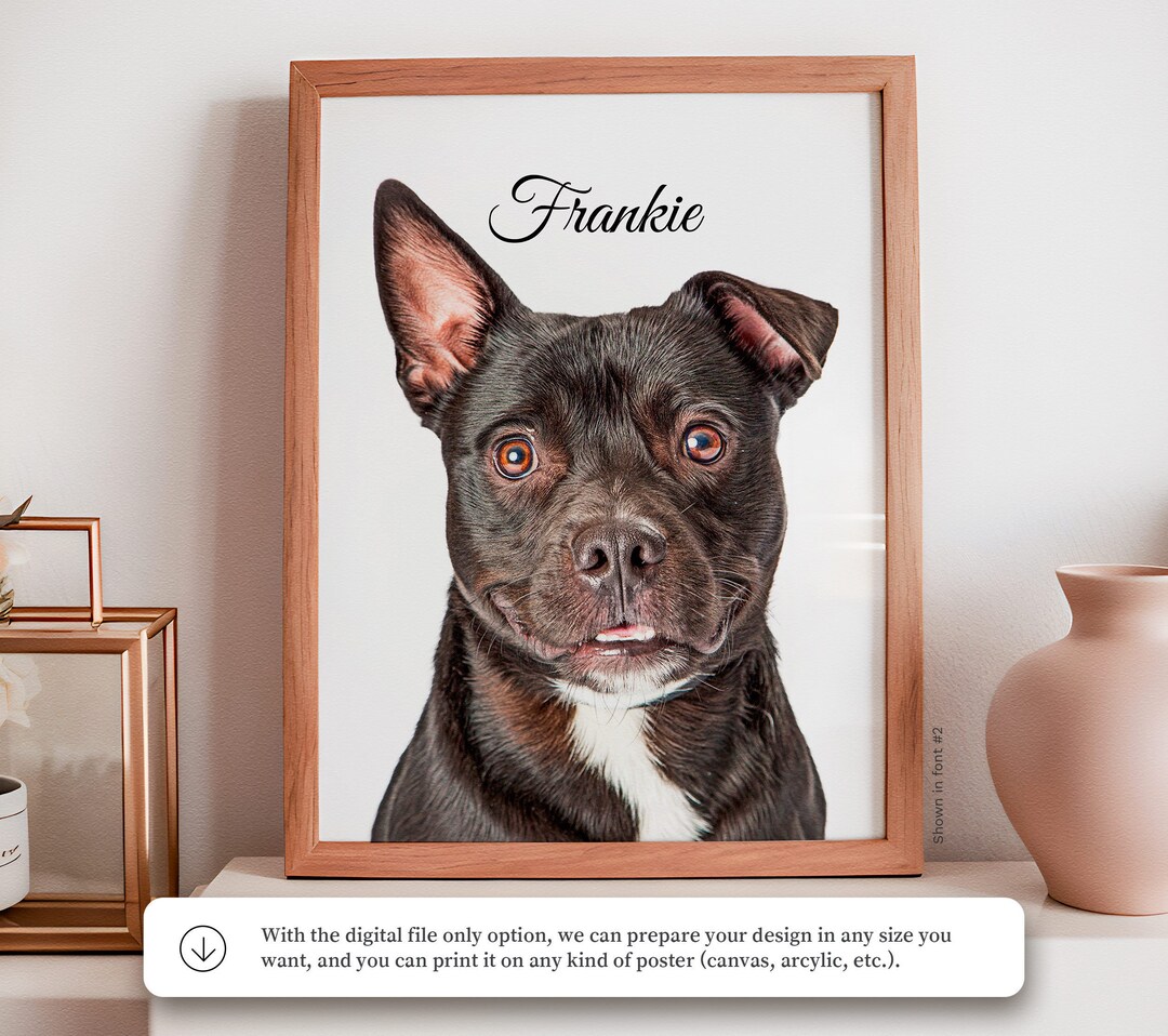 Custom Pet Portrait From Photo Personalized Dog Portraits Drawing ...