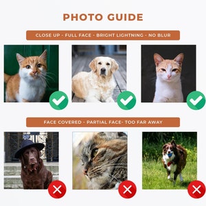 May include: A photo guide showing examples of good and bad photos for pet portraits. The top row shows three photos of cats and dogs with clear, well-lit faces. The bottom row shows three photos of pets with faces obscured, partially visible, or too far away.