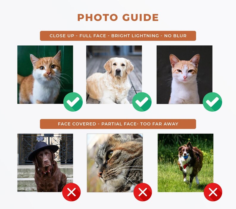 May include: A photo guide showing examples of good and bad photos for pet portraits. The top row shows three photos of cats and dogs with clear, well-lit faces. The bottom row shows three photos of pets with faces obscured, partially visible, or too far away.