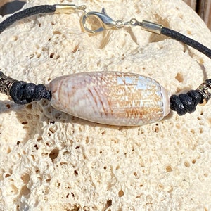 Shell bracelet, shell gifts, adjustable bracelet, beach gifts, gifts for anyone, vacation jewelry, cruise jewelry, natural beach jewelry,