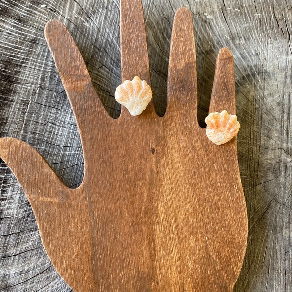 Cats Paw Shell - Etsy