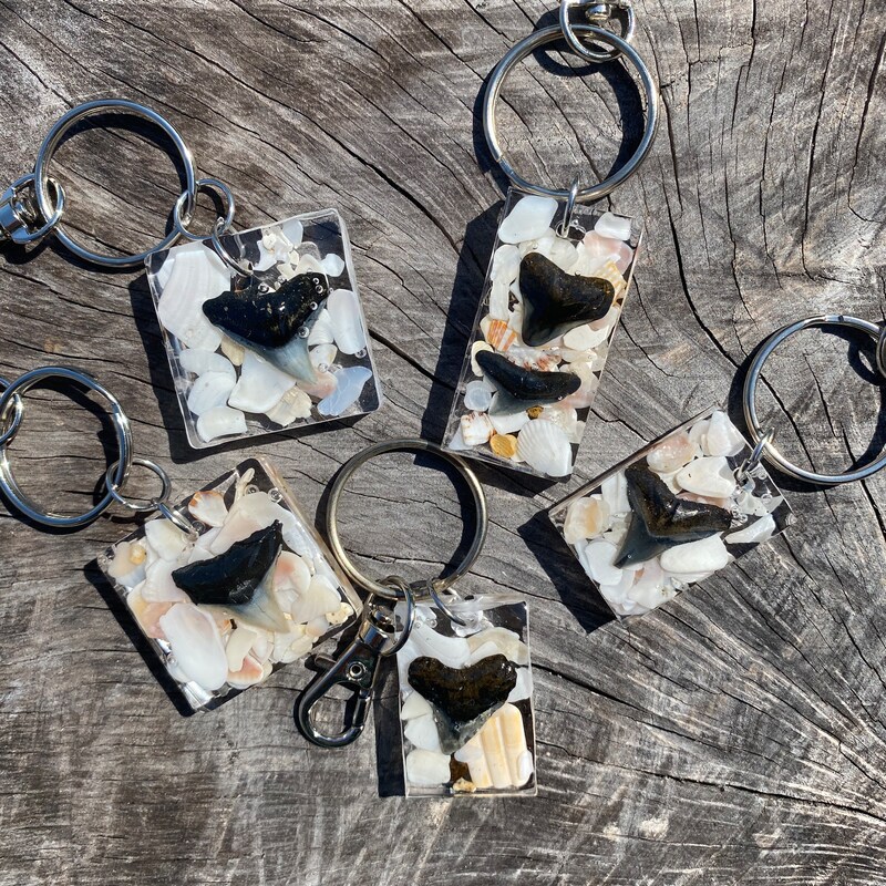 Shark Tooth Ring - Etsy