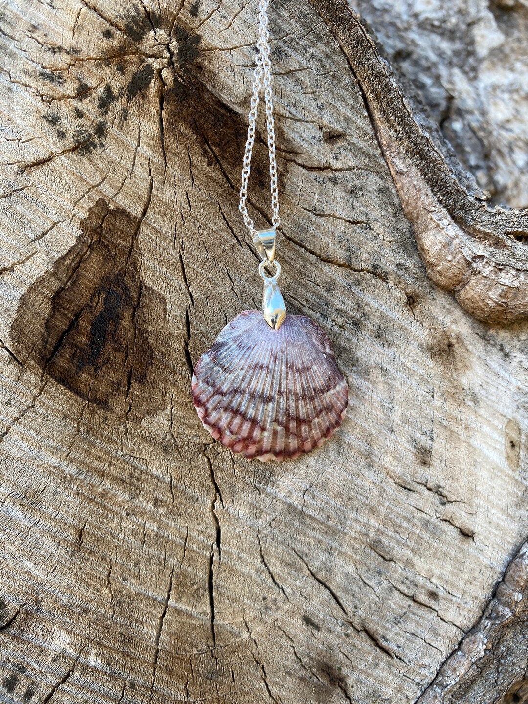 Hand-picked Scallop Shell Necklace: Beach Jewelry, Florida Gift - Etsy