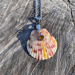 Handcrafted Scallop Shell Necklace: Stainless Steel Beach Jewelry
