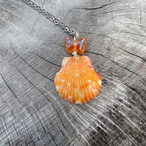 Scallop Shell Necklace: Butterfly Bead, Beach Jewelry