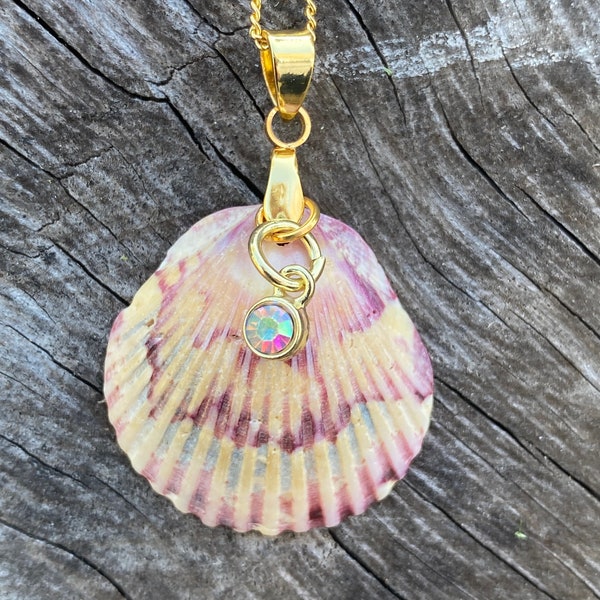 Scallop Shell Necklace Etsy