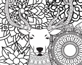 adult coloring book mandala animals